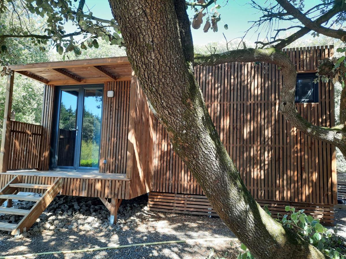 Le Lodge Des Chenes Brousses-et-Villaret ภายนอก รูปภาพ