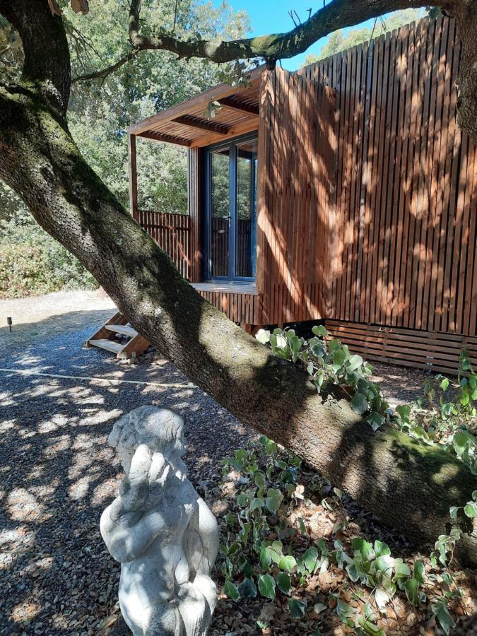 Le Lodge Des Chenes Brousses-et-Villaret ภายนอก รูปภาพ