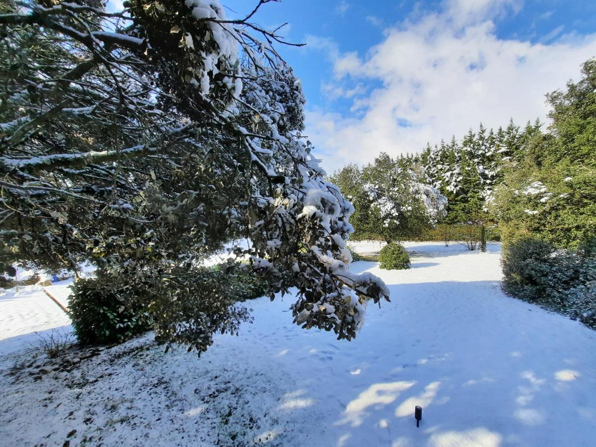 Le Lodge Des Chenes Brousses-et-Villaret ภายนอก รูปภาพ