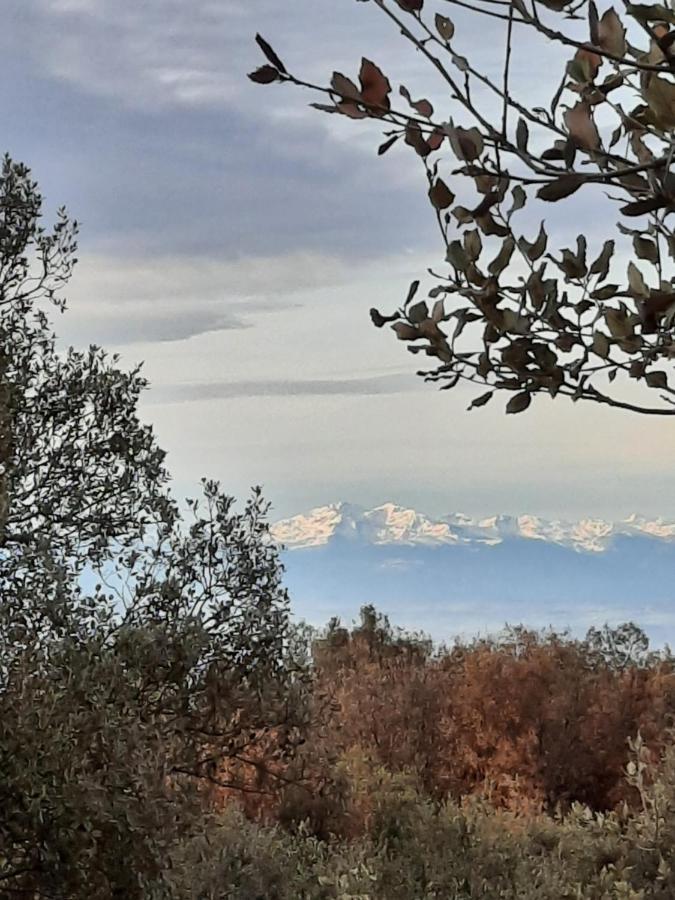 Le Lodge Des Chenes Brousses-et-Villaret ภายนอก รูปภาพ